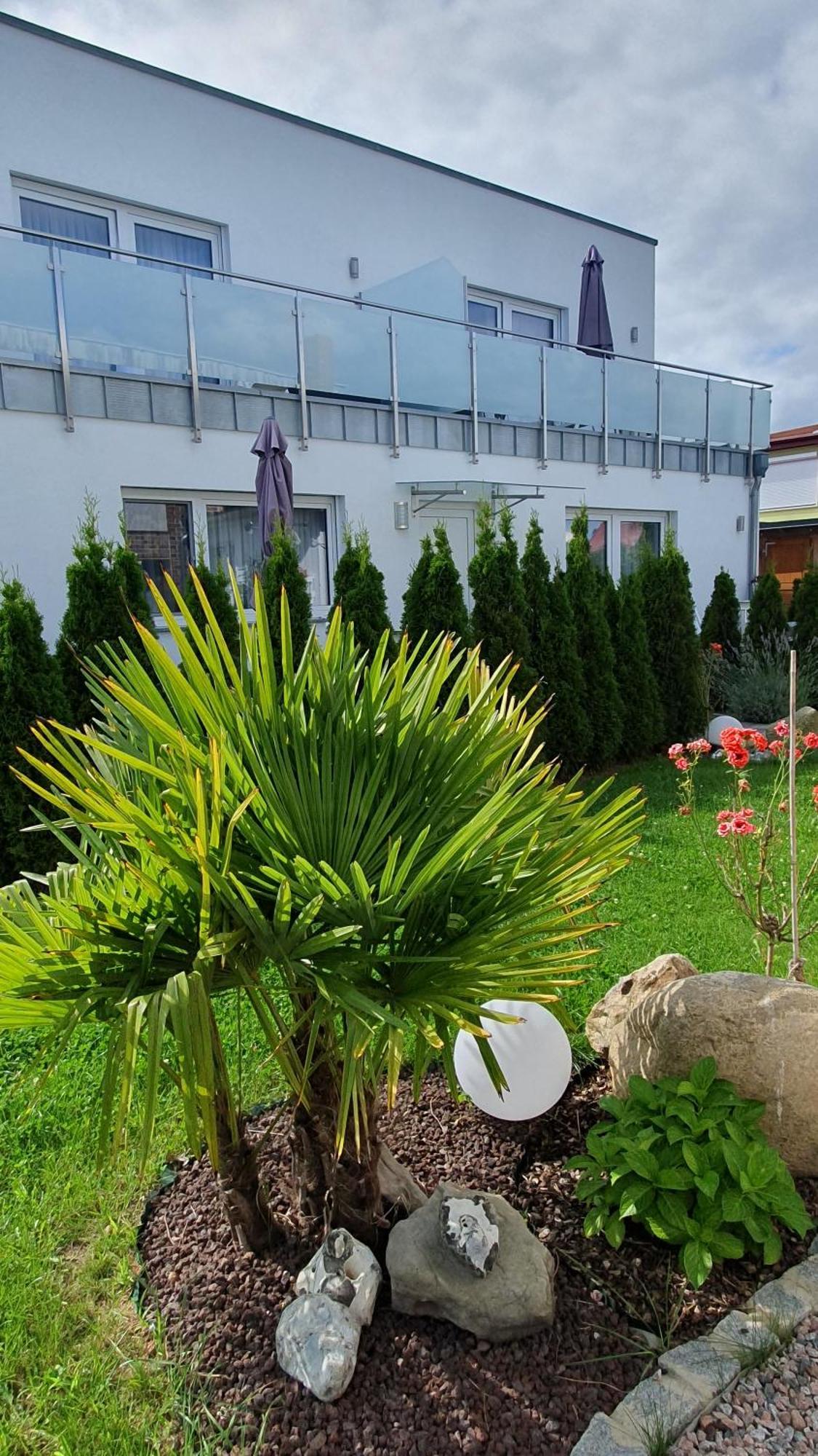 Ferienwohnungen "Godewind", Appartements Mit Balkon Oder Terrasse Zinnowitz Exterior foto